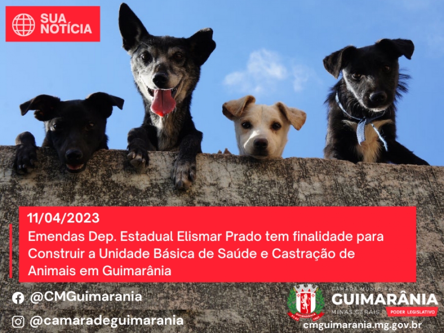 Unidade Básica De Saúde E Castração De Animais Em Guimarânia